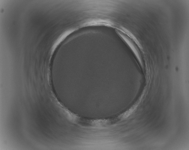 X0000078861277200611131154