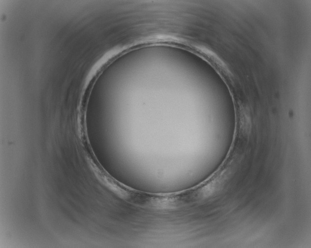 X0000078861278200611131154