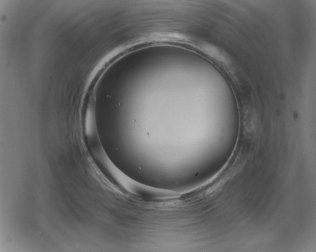 X0000078861280200611131154