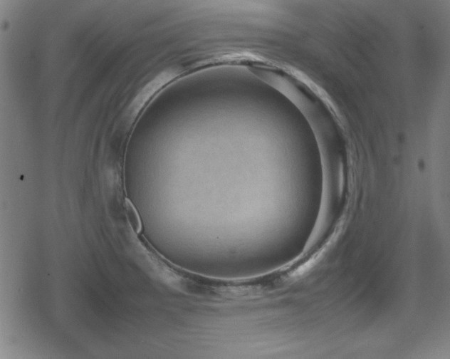 X0000078861281200611131154