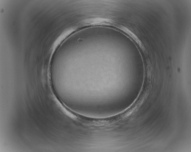 X0000078861285200611131154