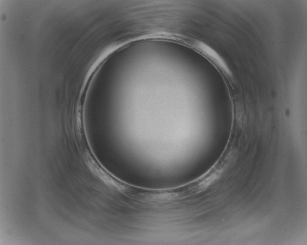 X0000078861292200611131153
