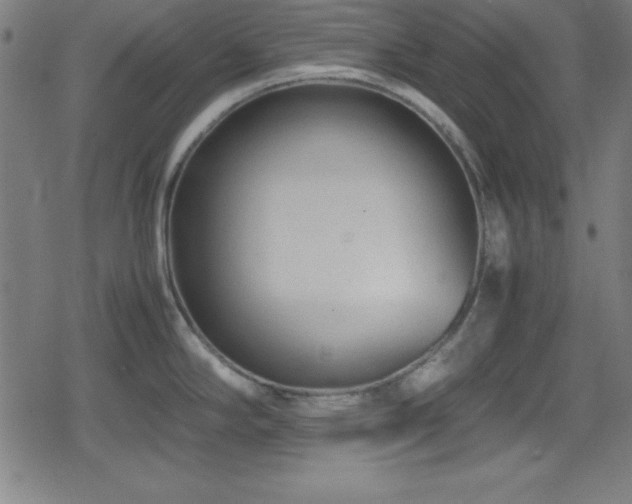 X0000078861294200611131153