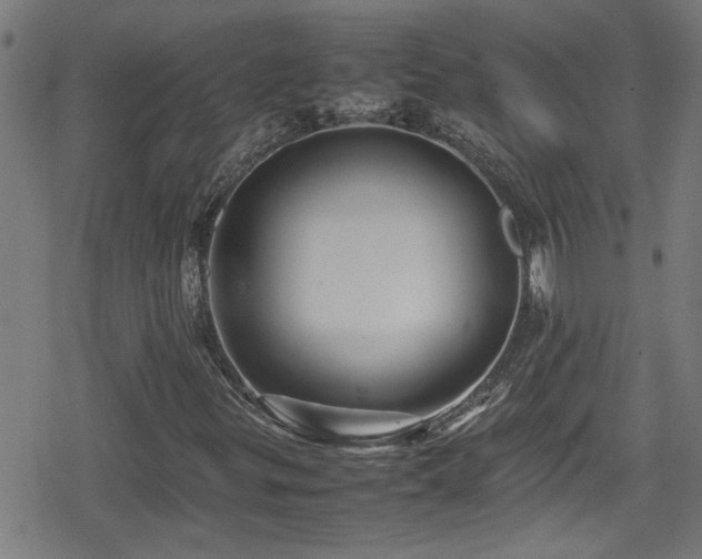 X0000078861299200611131153