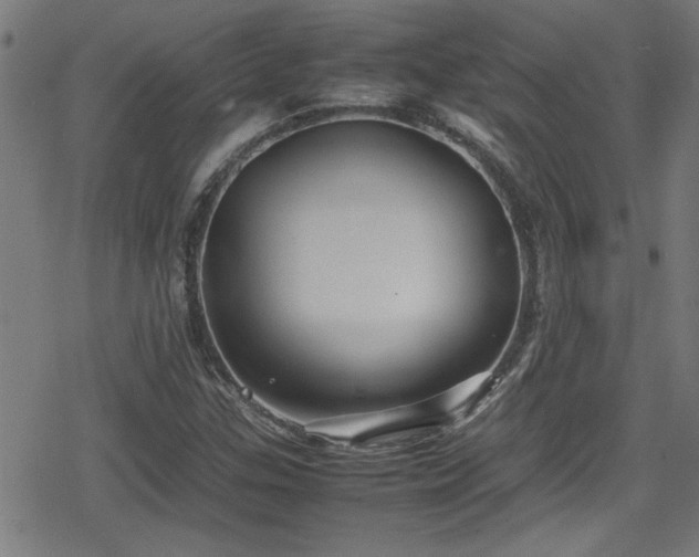 X0000078861307200611131153