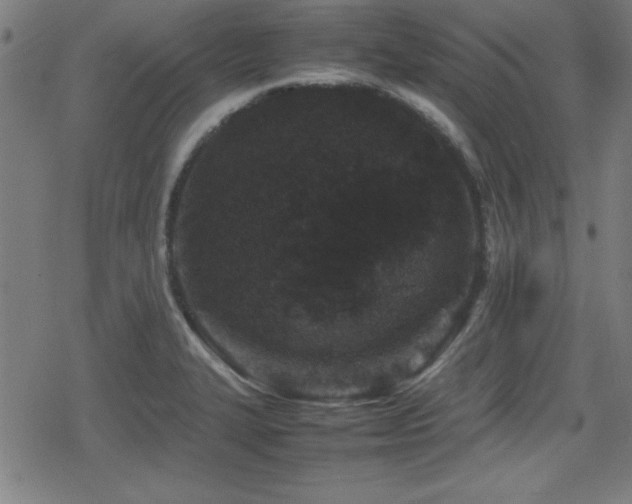 X0000078861327200611131153
