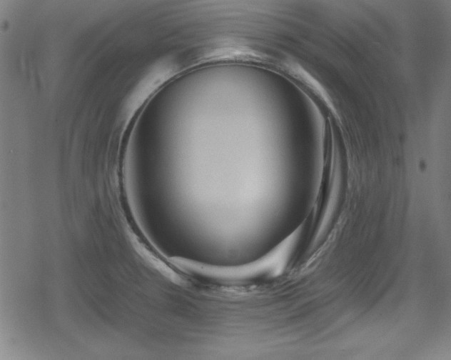 X0000078861330200611131153