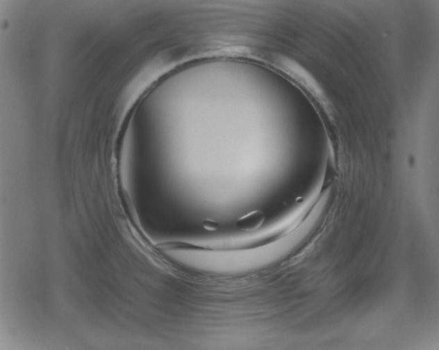 X0000078861332200611131153
