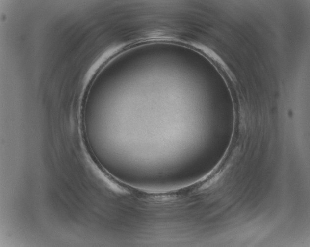 X0000078861333200611131153