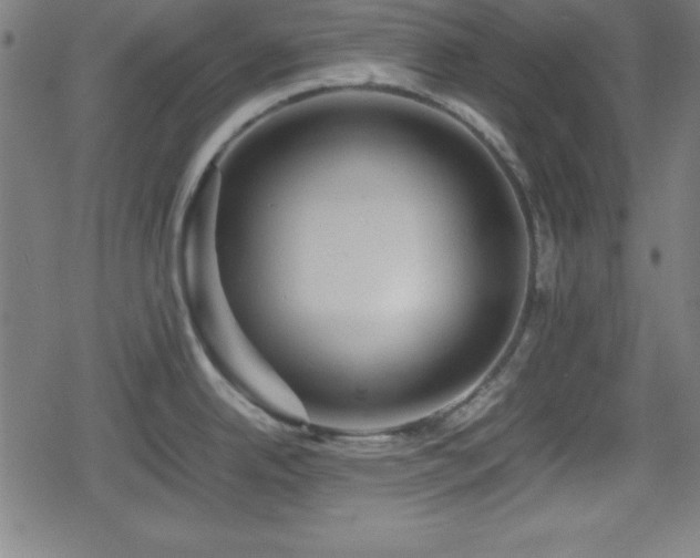 X0000078861342200611131153
