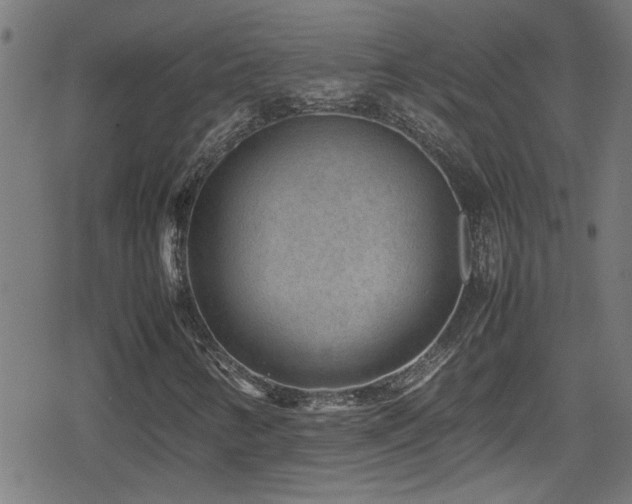 X0000078861346200611131153