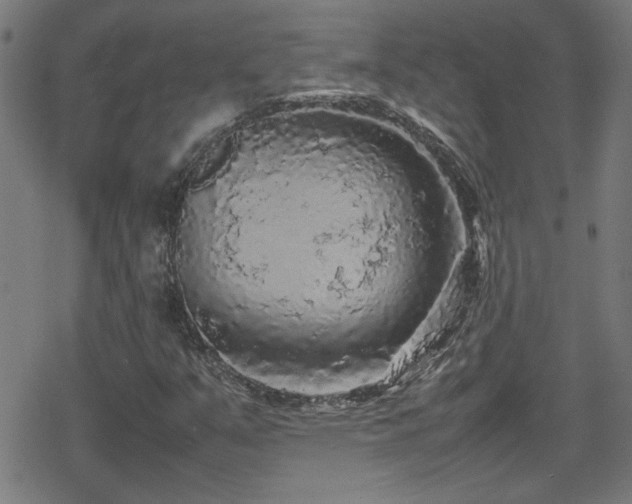 X0000078861351200611131152