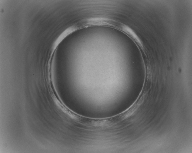 X0000078861386200611131152