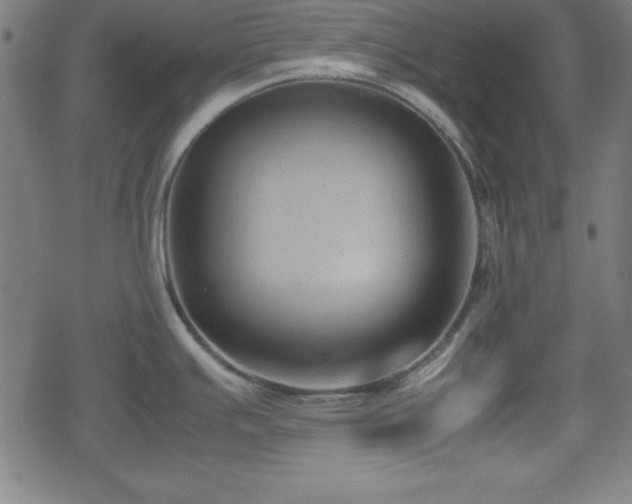 X0000078861391200611131152