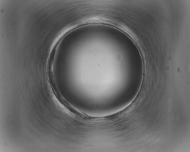 X0000078861392200611131152