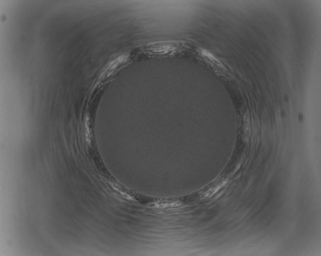 X0000078861394200611131151