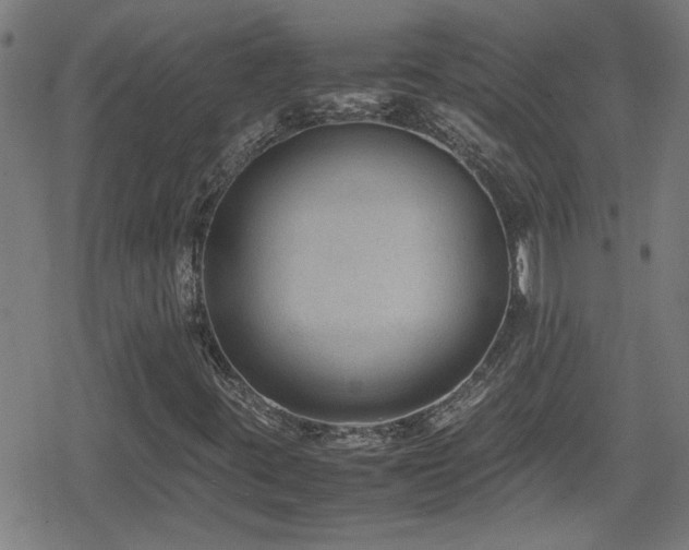 X0000078861395200611131151