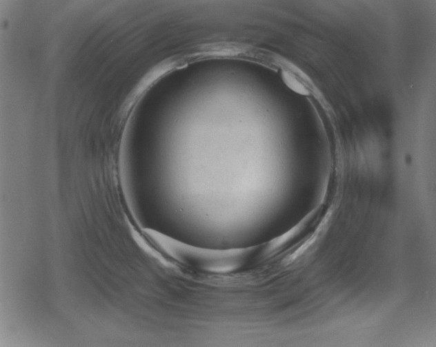 X0000078861433200611131152