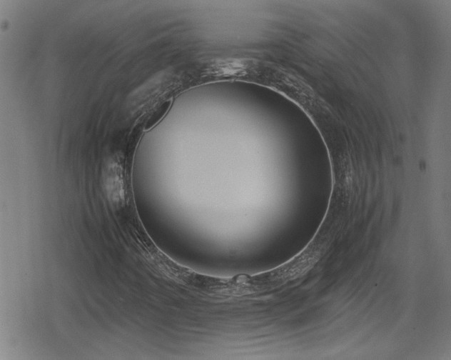X0000078861442200611131151