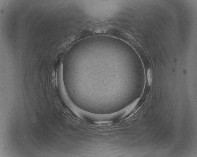 X0000078861443200611131151