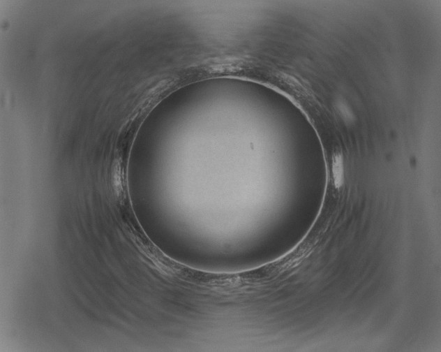 X0000078861444200611131151