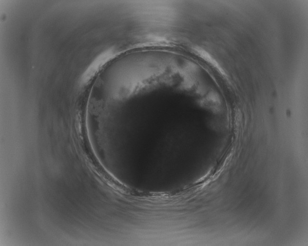 X0000078861455200611131151