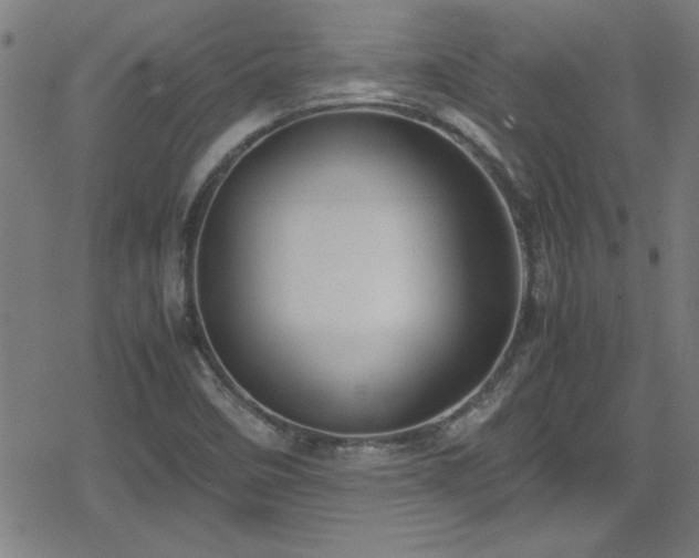 X0000078861458200611131151