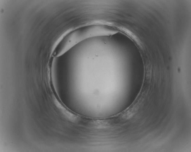 X0000078861476200611131150