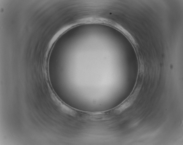 X0000078861486200611131150