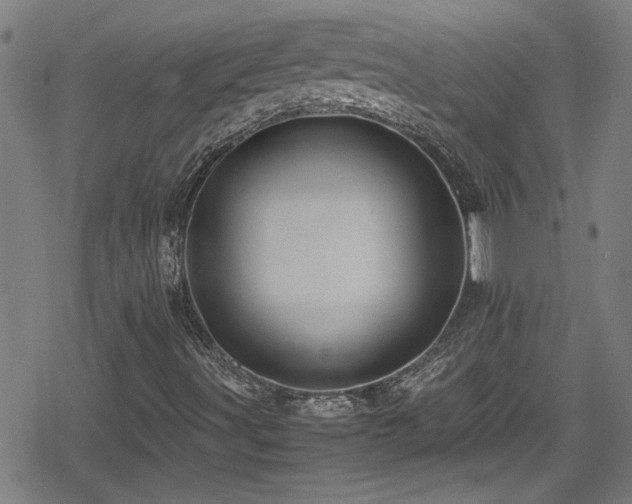 X0000078861491200611131149