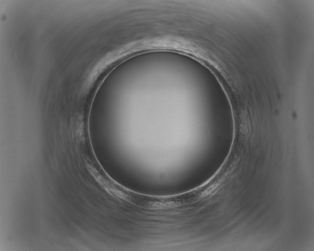 X0000078861499200611131150