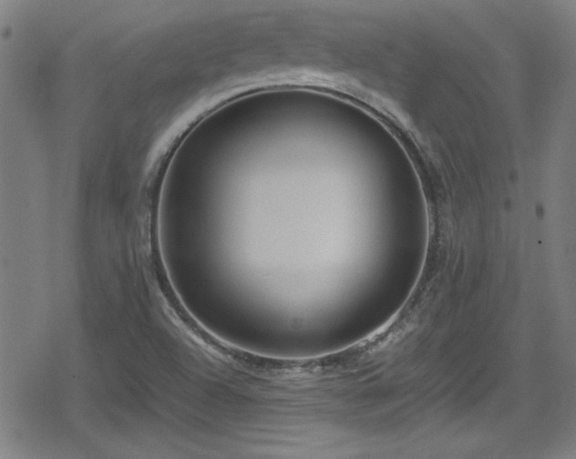 X0000078861504200611131150