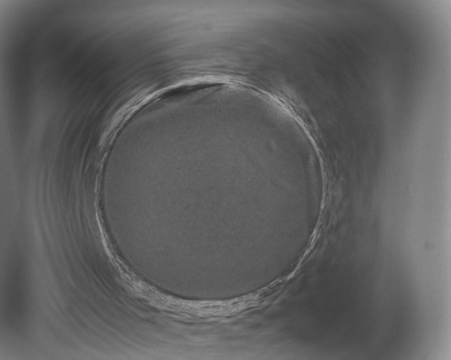 X0000078860001200611201325