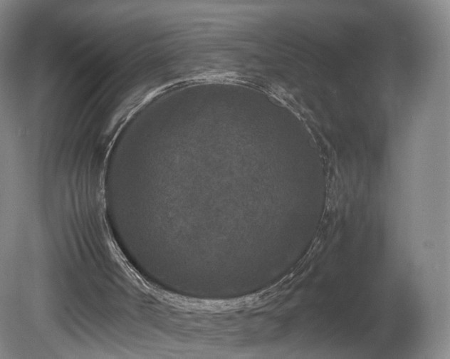 X0000078860002200611201325