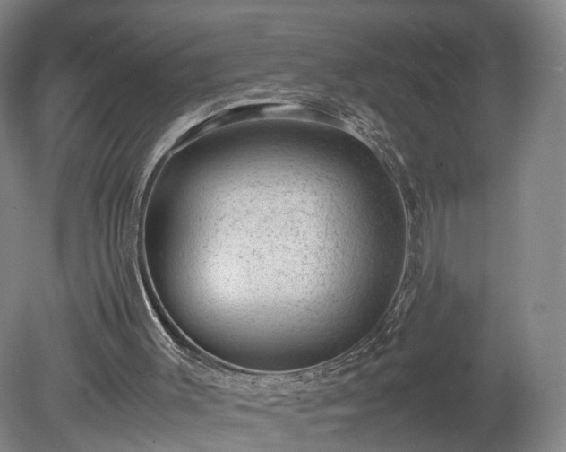 X0000078860003200611201325