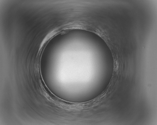 X0000078860004200611201325