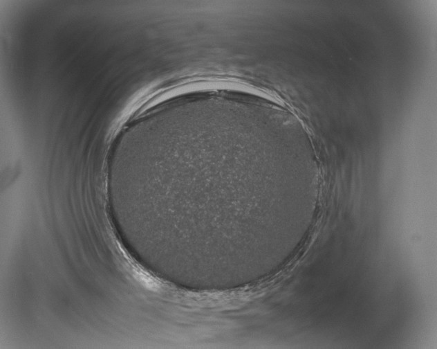 X0000078860005200611201325