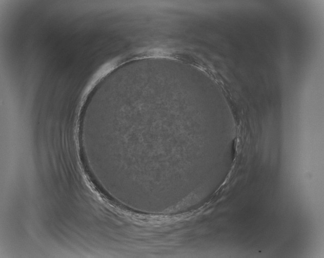 X0000078860006200611201325