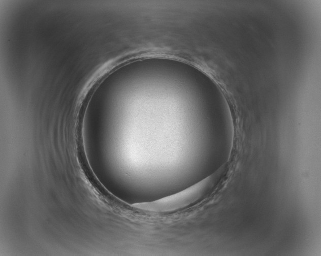 X0000078860007200611201325