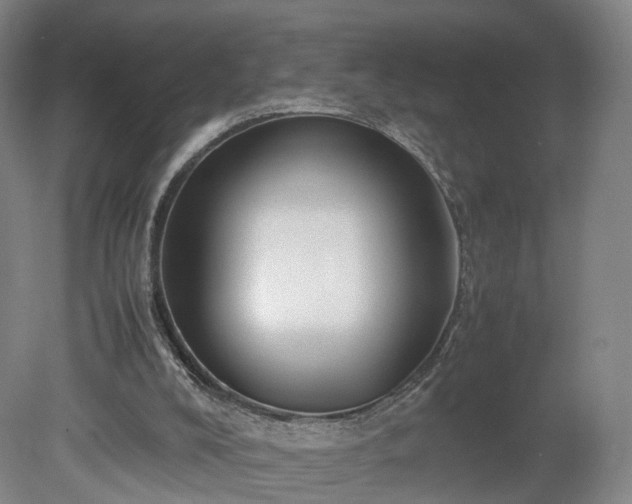 X0000078860008200611201325