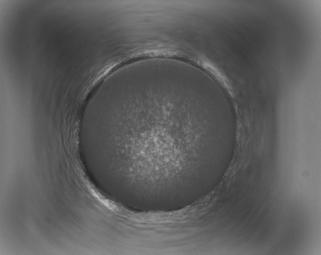 X0000078860009200611201325