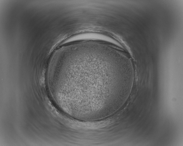 X0000078860010200611201325