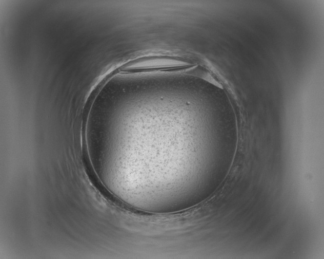 X0000078860011200611201325