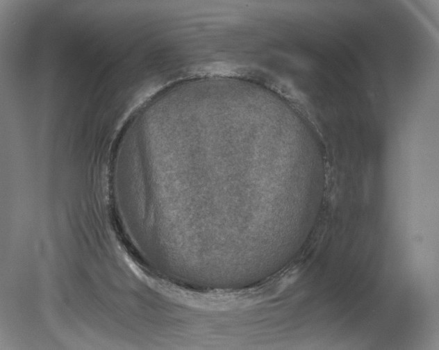 X0000078860012200611201325