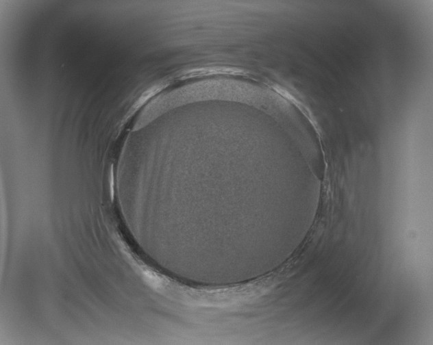 X0000078860013200611201325