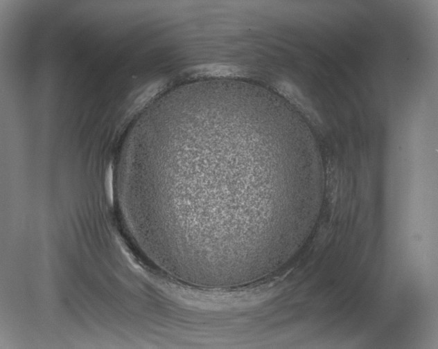 X0000078860014200611201325