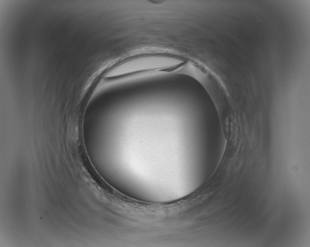 X0000078860015200611201325