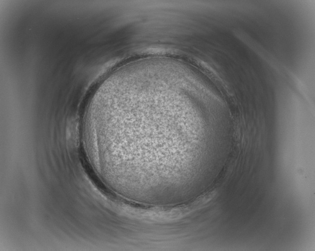 X0000078860016200611201325