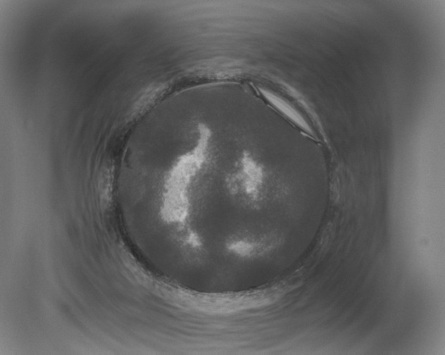 X0000078860018200611201325