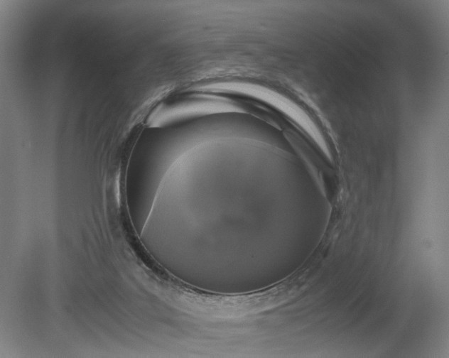 X0000078860019200611201325